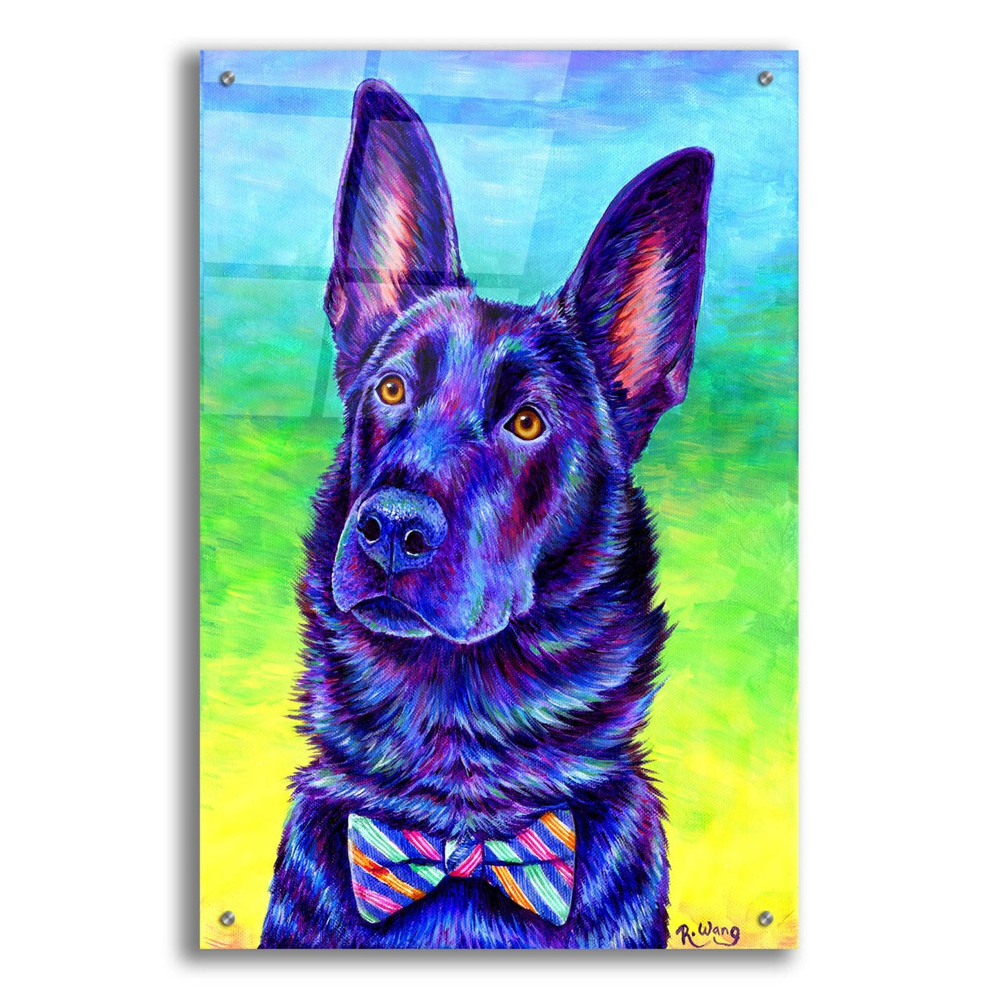 Epic Art 'Colorful Black German Shepherd' by Rebecca Wang Art, Acrylic Glass Wall Art