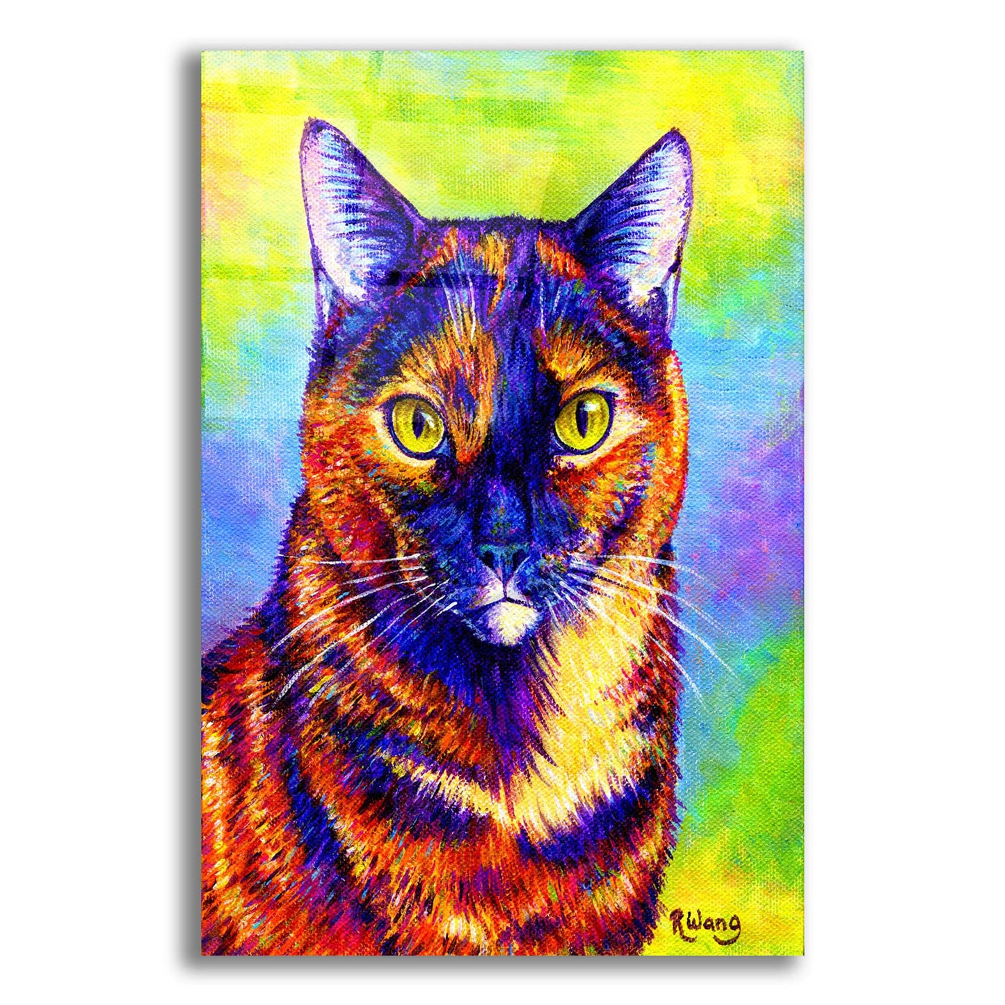 Epic Art 'Colorful Tortoiseshell Cat' by Rebecca Wang Art, Acrylic Glass Wall Art