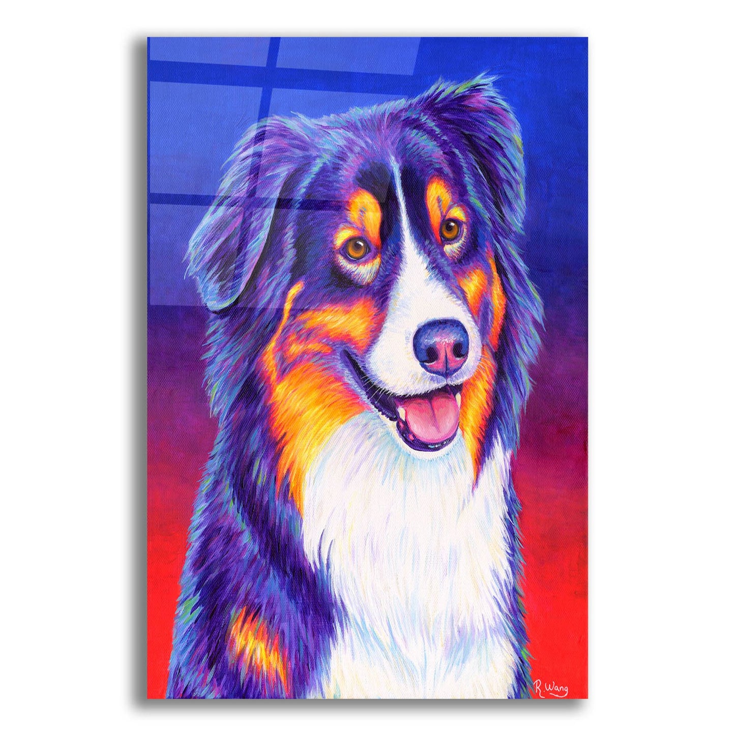 Epic Art 'Colorful Triolor Australian Shepherd' by Rebecca Wang Art, Acrylic Glass Wall Art