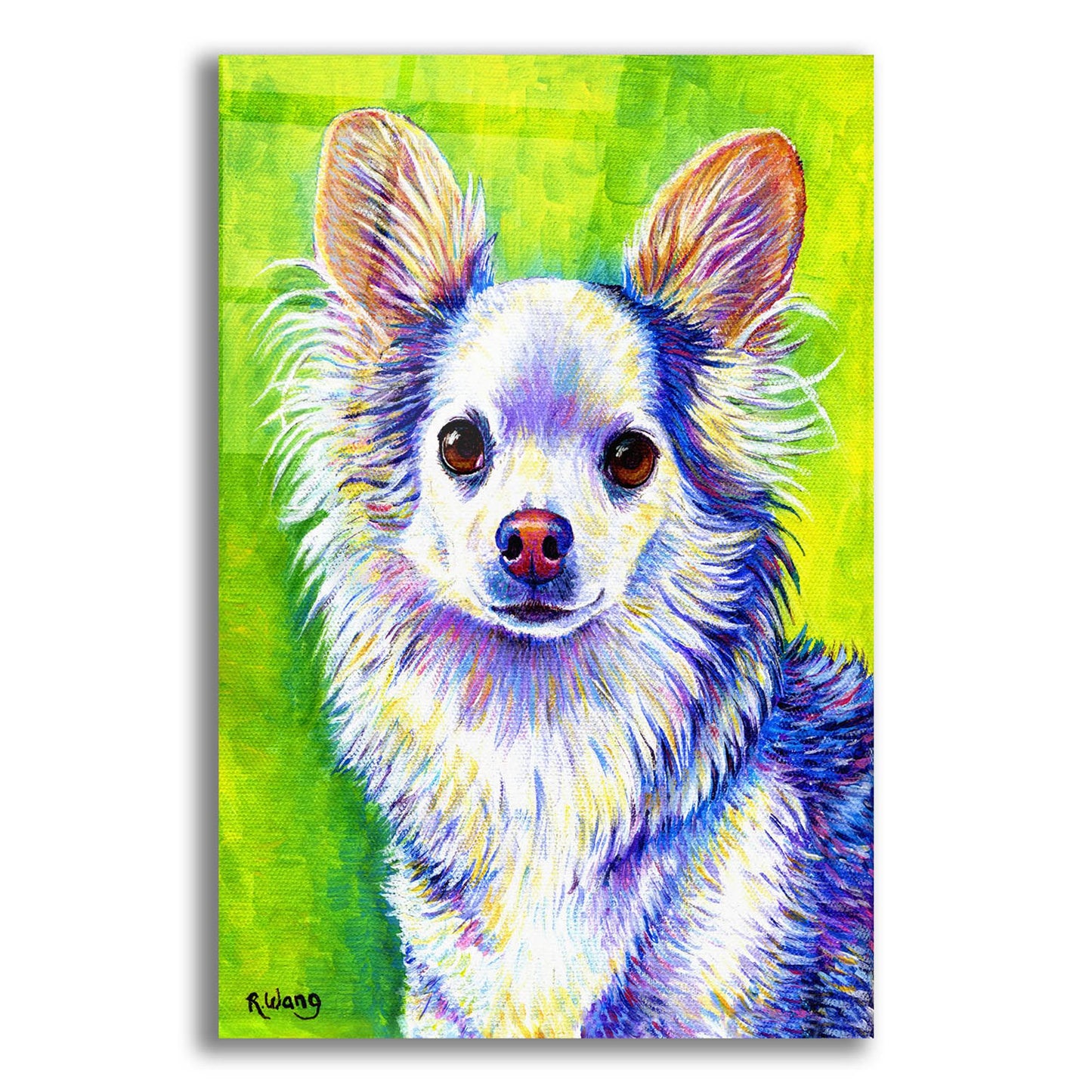 Epic Art 'Cute Chihuahua' by Rebecca Wang Art, Acrylic Glass Wall Art