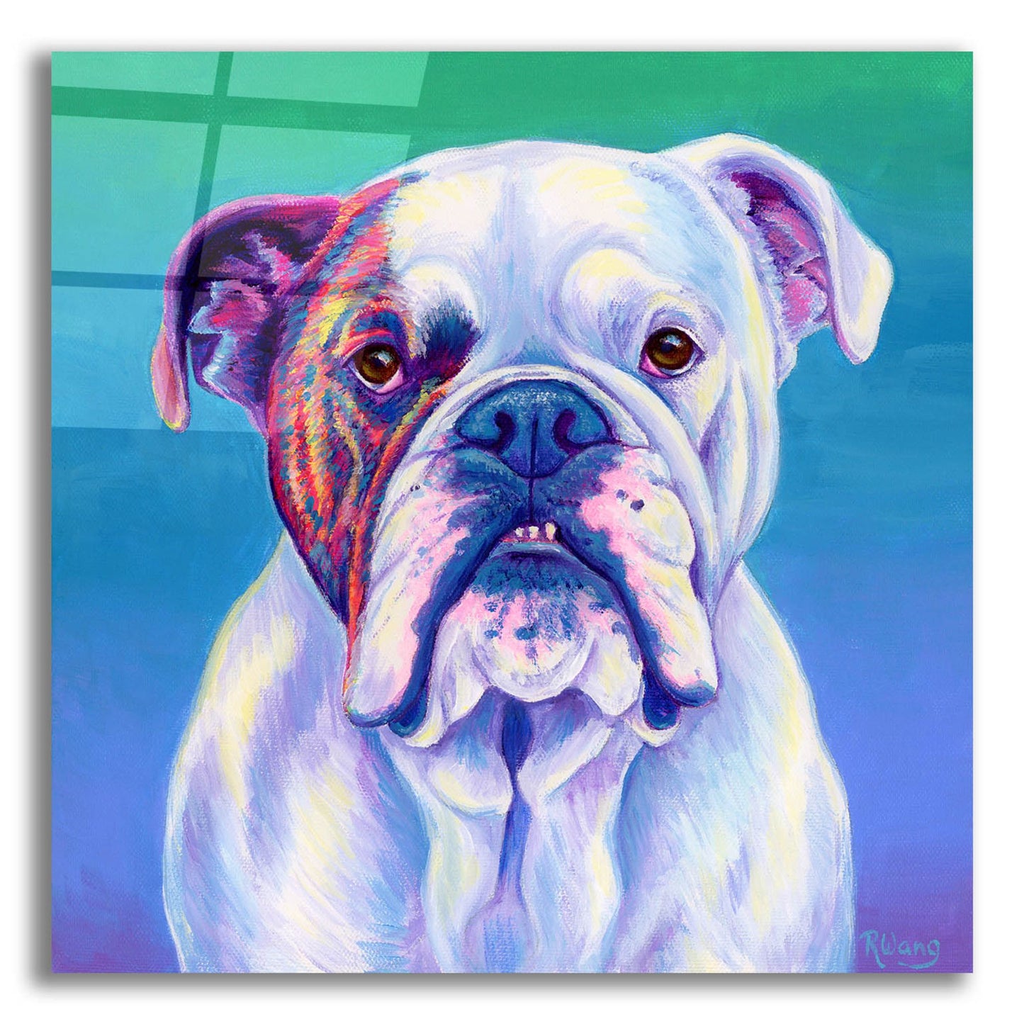 Epic Art 'Cute English Bulldog' by Rebecca Wang Art, Acrylic Glass Wall Art