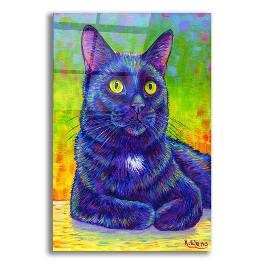 Epic Art 'Little House Panther' by Rebecca Wang Art, Acrylic Glass Wall Art