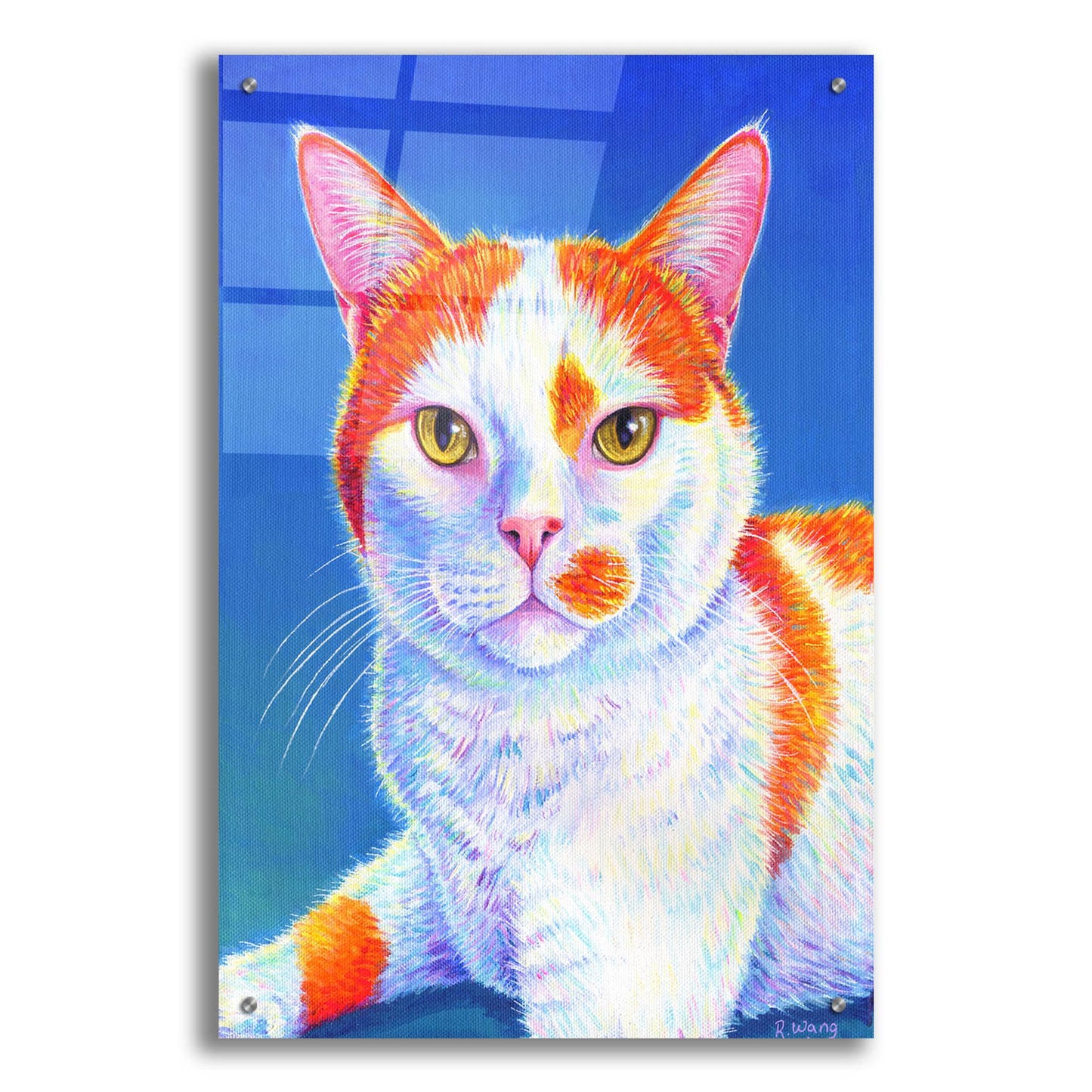 Epic Art 'Orange and White Cat on Blue' by Rebecca Wang Art, Acrylic Glass Wall Art