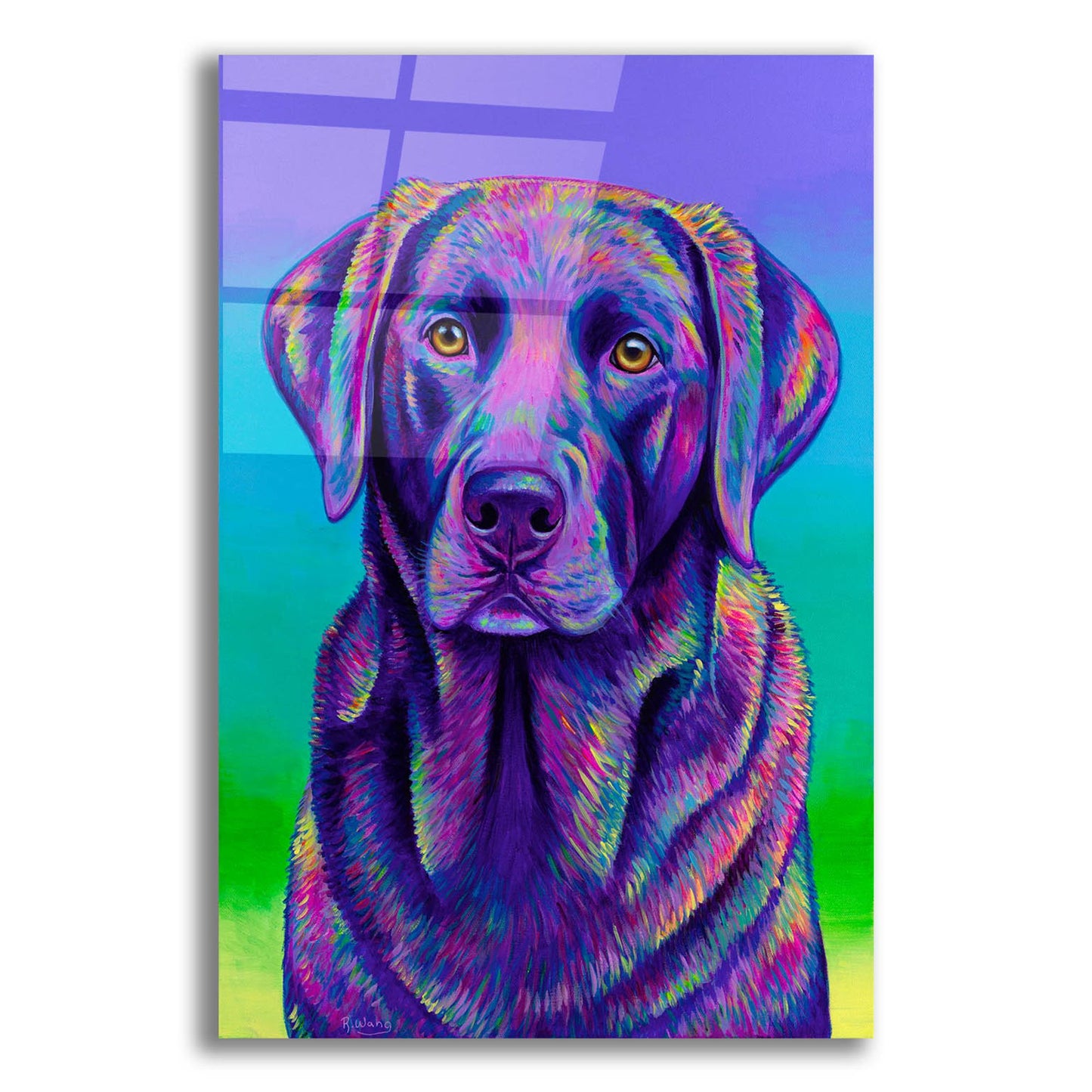 Epic Art 'Purple Chocolate Labrador Retriever' by Rebecca Wang Art, Acrylic Glass Wall Art