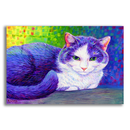 Epic Art 'Purple Tuxedo Cat' by Rebecca Wang Art, Acrylic Glass Wall Art