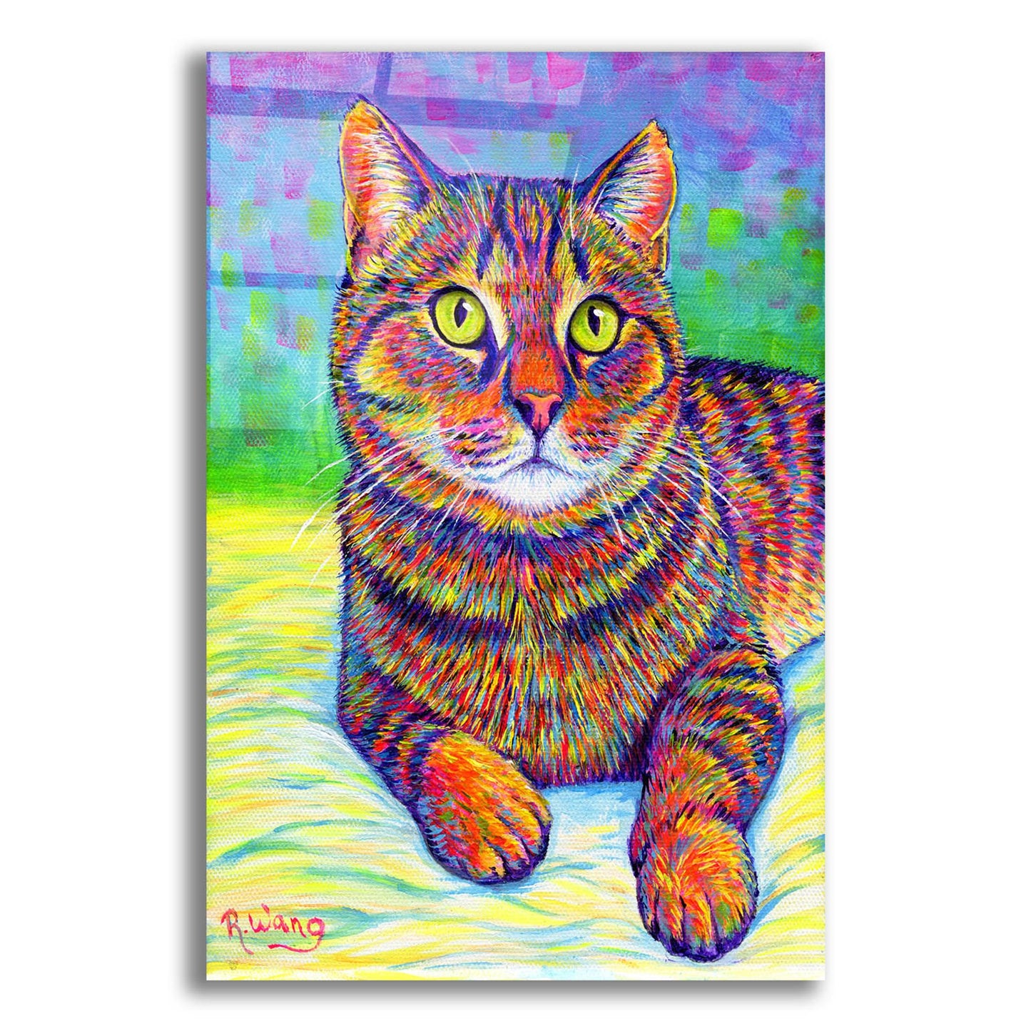 Epic Art 'Rainbow Brown Tabby' by Rebecca Wang Art, Acrylic Glass Wall Art