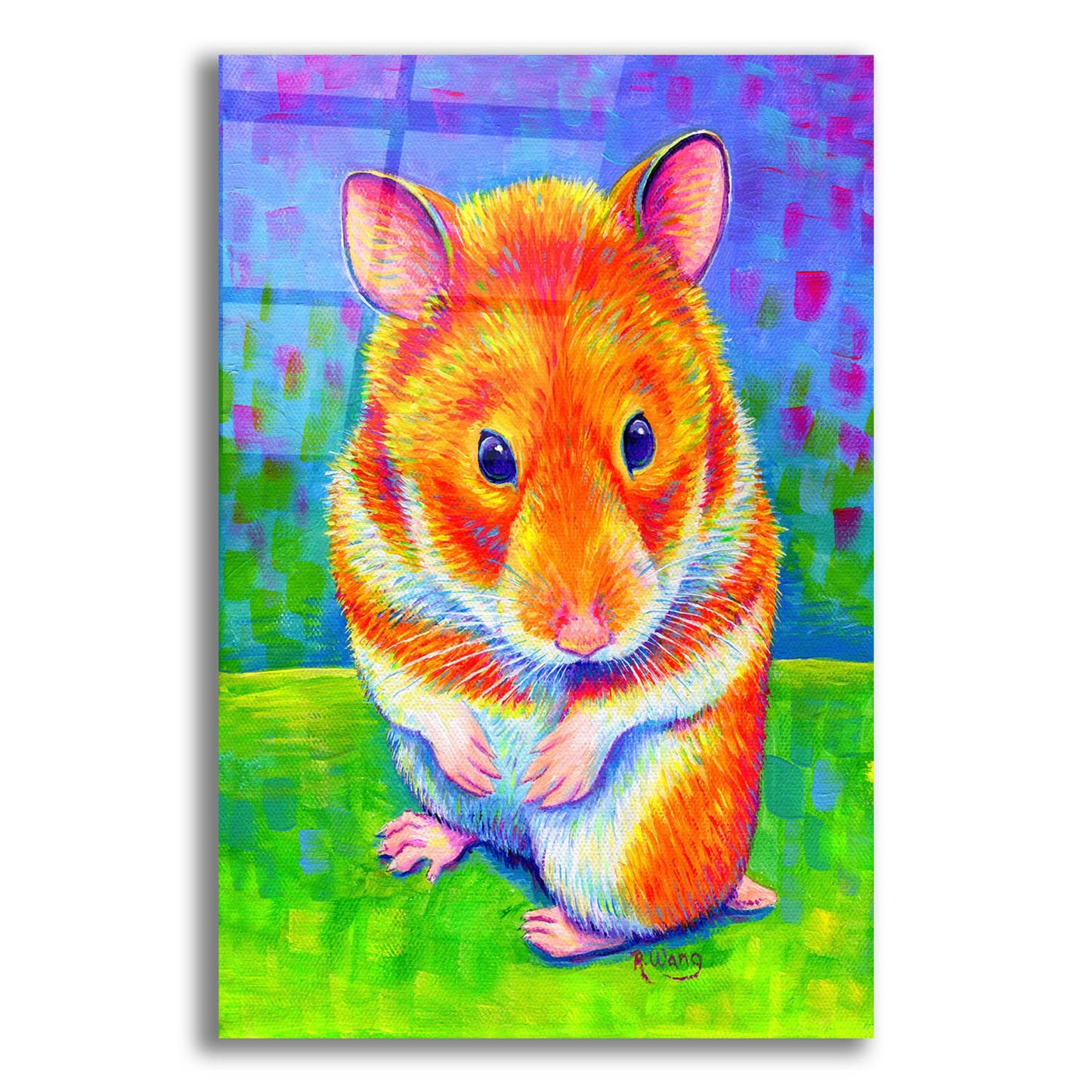 Epic Art 'Rainbow Hamster' by Rebecca Wang Art, Acrylic Glass Wall Art