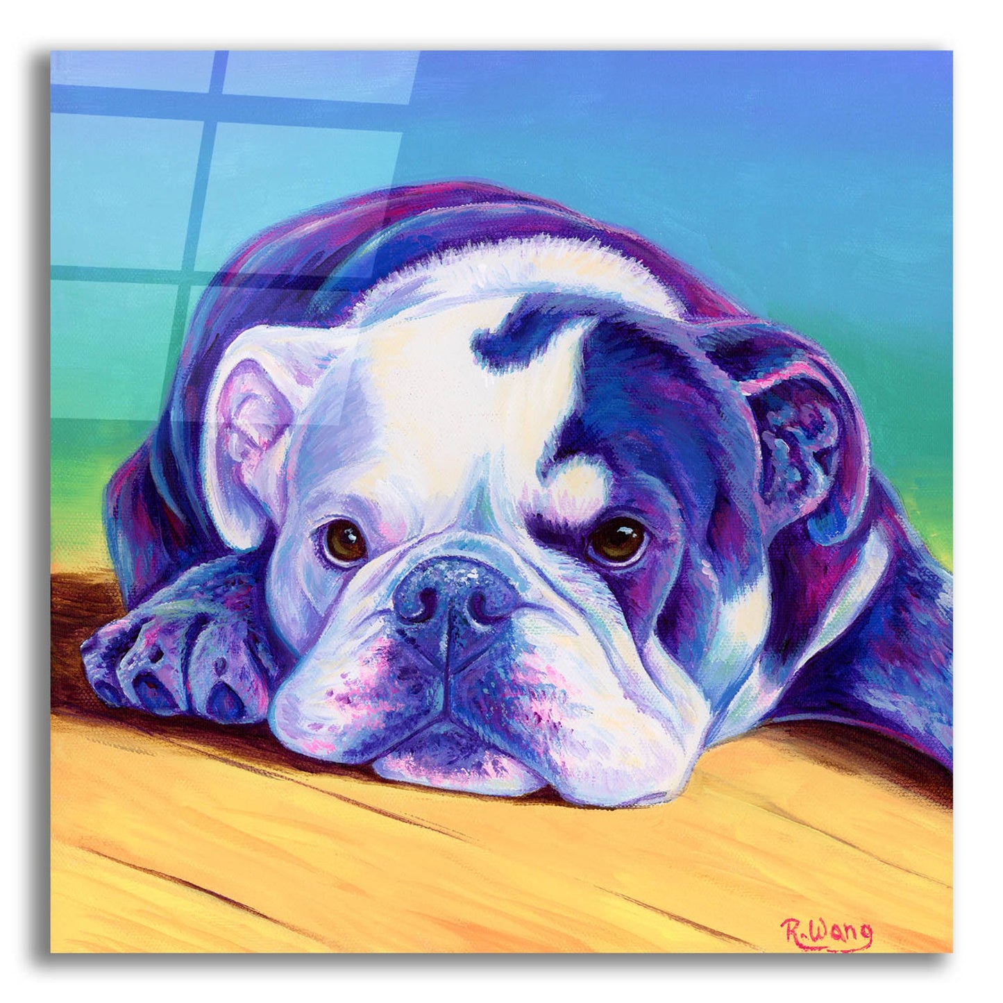 Epic Art 'Sweet English Bulldog' by Rebecca Wang Art, Acrylic Glass Wall Art