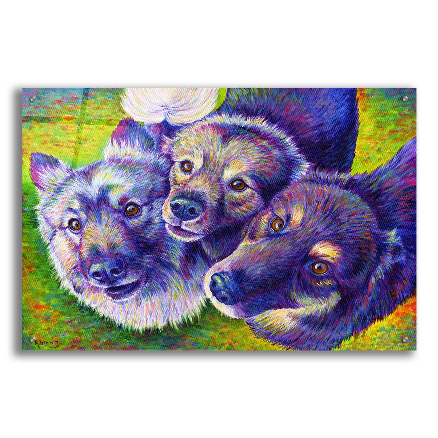 Epic Art 'Three Amigos' by Rebecca Wang Art, Acrylic Glass Wall Art