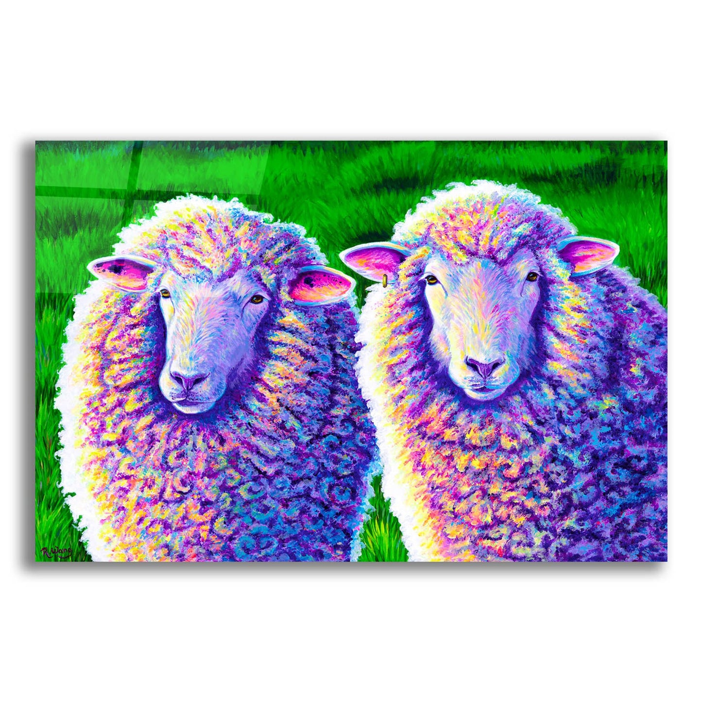 Epic Art 'Two Colorful Sheep' by Rebecca Wang Art, Acrylic Glass Wall Art