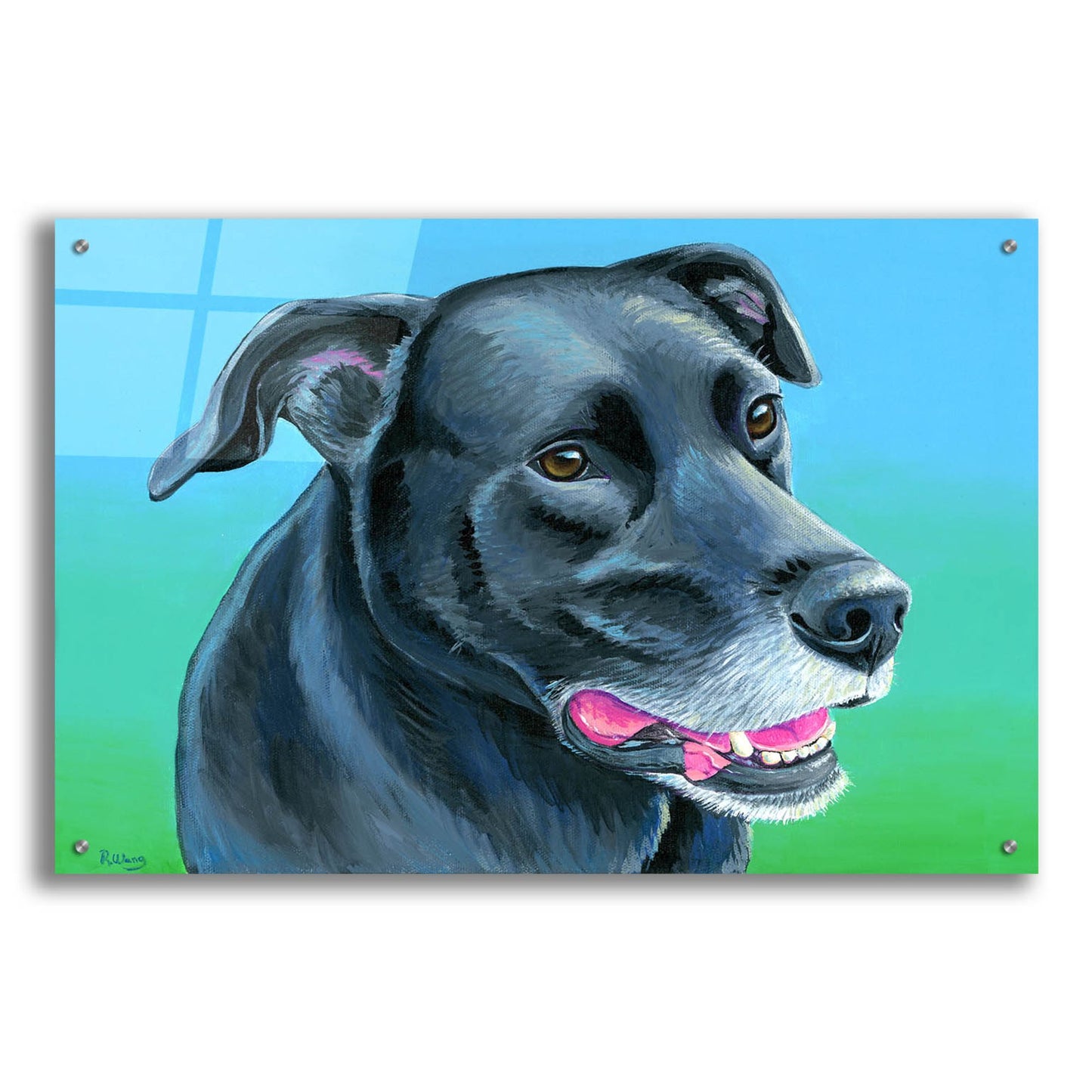 Epic Art 'Black Lab Mix' by Rebecca Wang Art, Acrylic Glass Wall Art