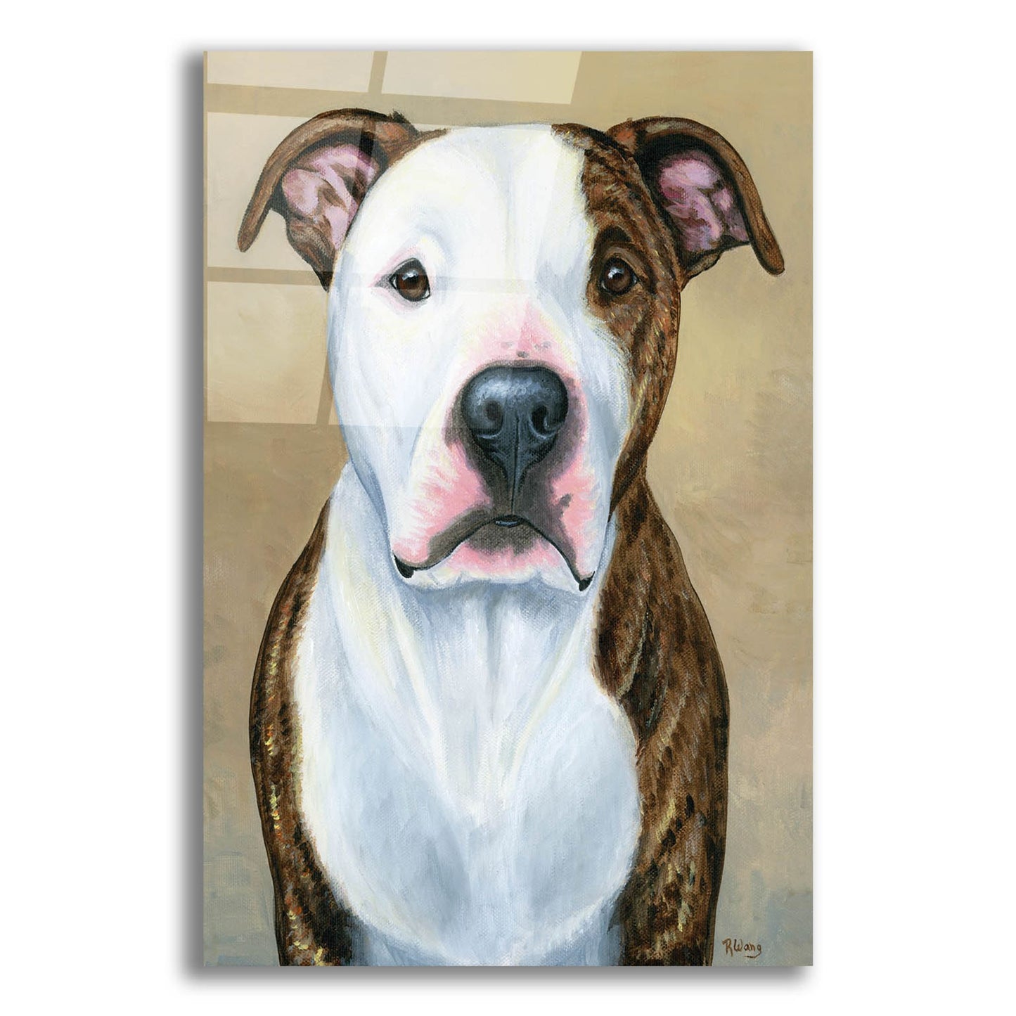 Epic Art 'Brindle and White Pitbull Terrier' by Rebecca Wang Art, Acrylic Glass Wall Art