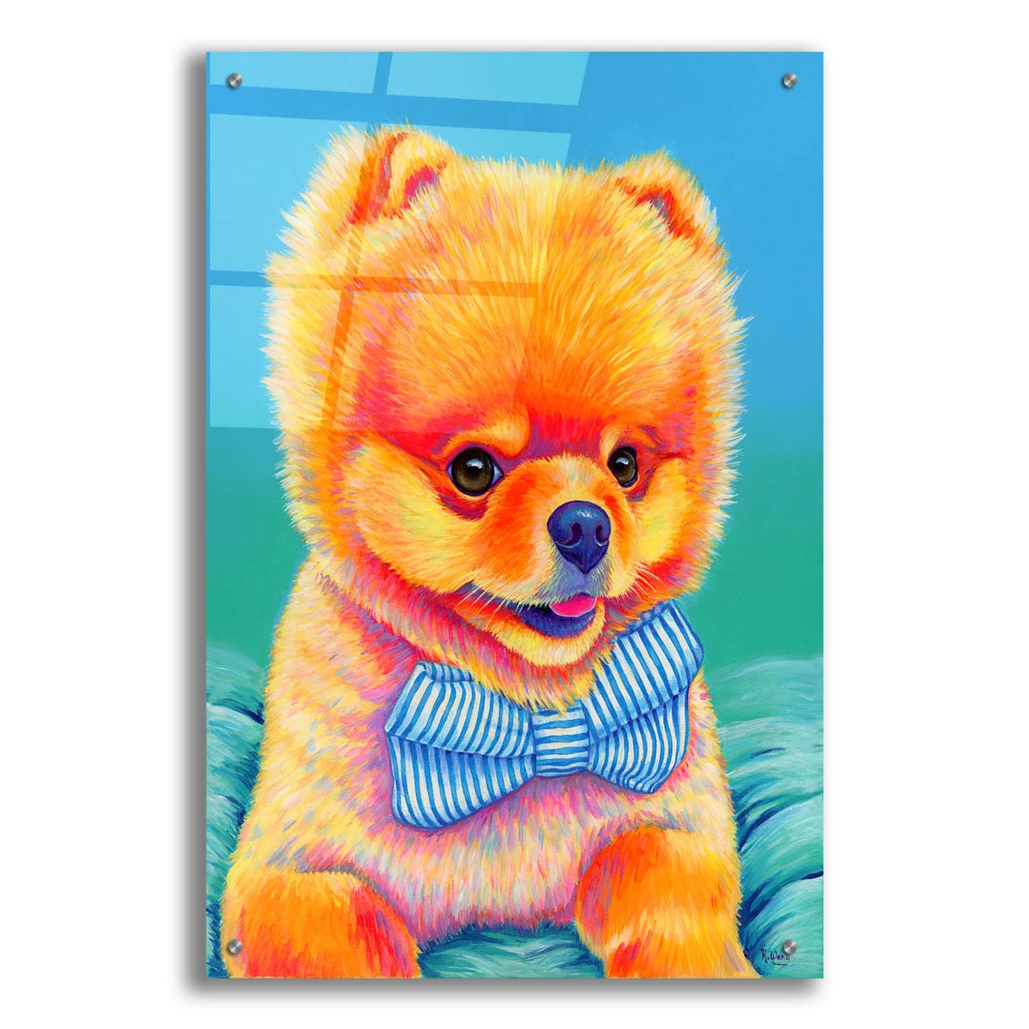 Epic Art 'Cute Pomeranian with Bow Tie' by Rebecca Wang Art, Acrylic Glass Wall Art