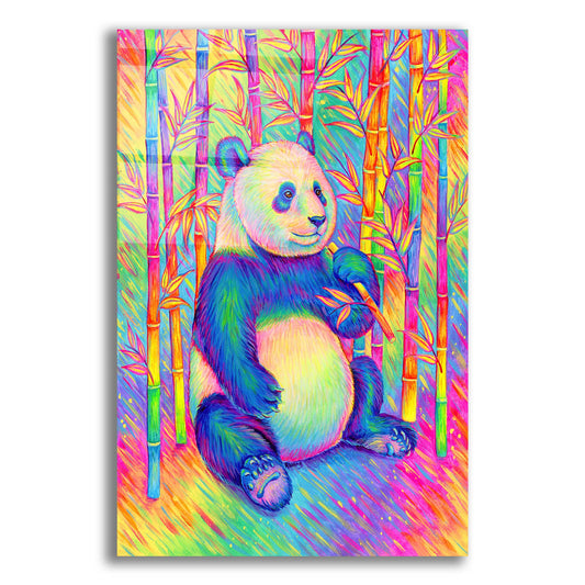 Epic Art 'Psychedelic Panda' by Rebecca Wang Art, Acrylic Glass Wall Art