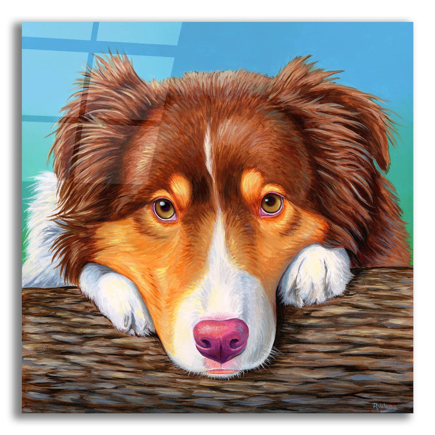 Epic Art 'Red Tricolor Australian Shepherd' by Rebecca Wang Art, Acrylic Glass Wall Art