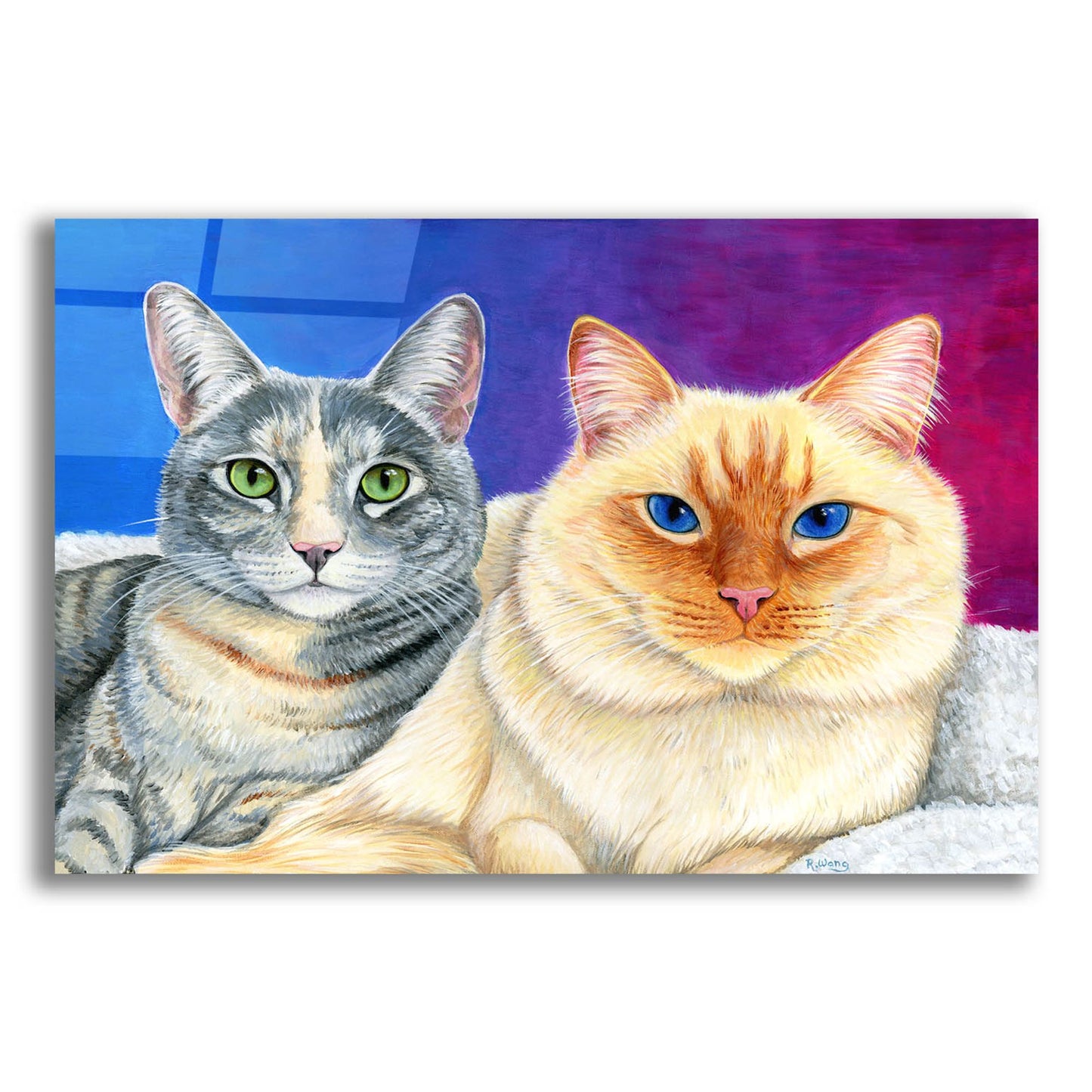 Epic Art 'Two Cute Cats' by Rebecca Wang Art, Acrylic Glass Wall Art