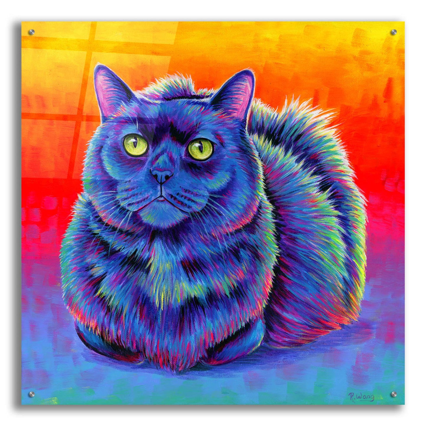 Epic Art 'Fiery Rainbow Black Cat' by Rebecca Wang Art, Acrylic Glass Wall Art