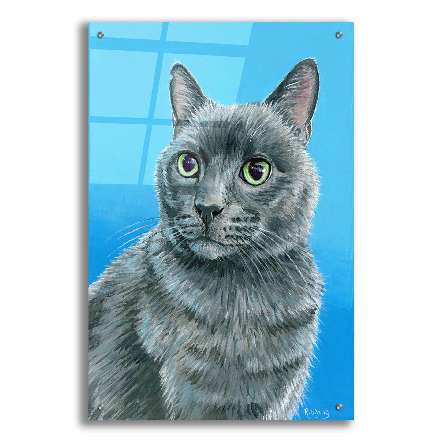 Epic Art 'Gray Cat' by Rebecca Wang Art, Acrylic Glass Wall Art