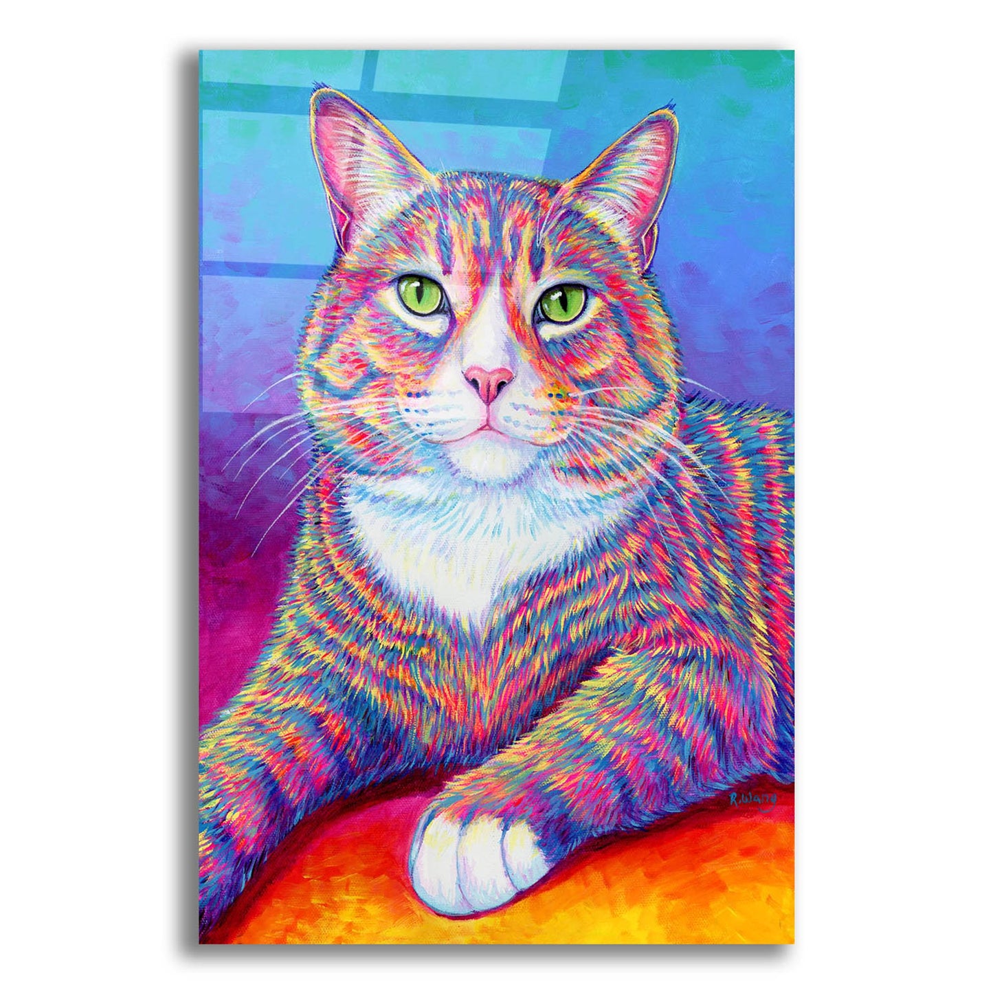 Epic Art 'Rainbow Brown and White Tabby Cat' by Rebecca Wang Art, Acrylic Glass Wall Art