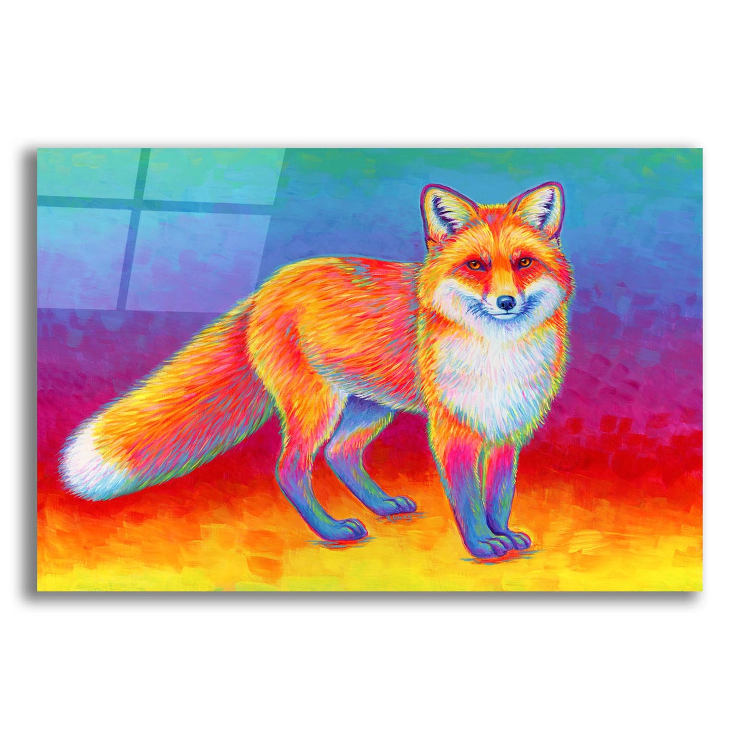 Epic Art 'Rainbow Red Fox' by Rebecca Wang Art, Acrylic Glass Wall Art