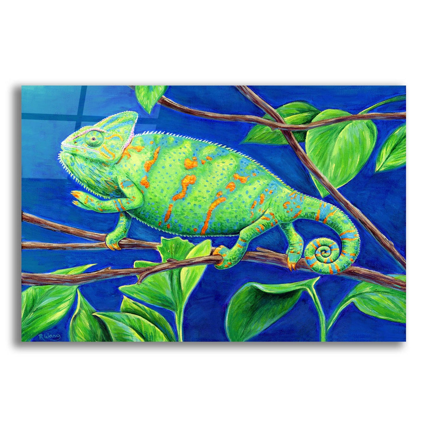 Epic Art 'Veiled Chameleon' by Rebecca Wang Art, Acrylic Glass Wall Art