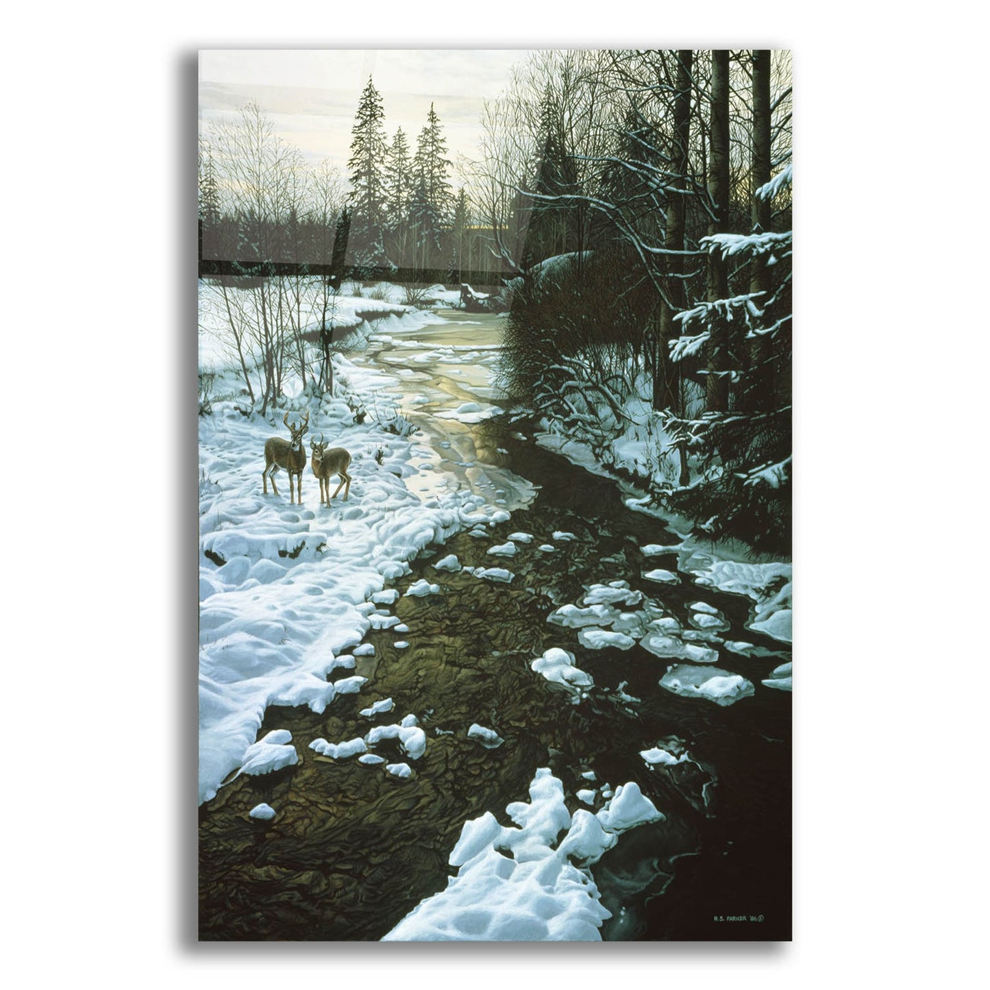 Epic Art 'Winter Creek & Whitetails' by Ron Parker, Acrylic Glass Wall Art