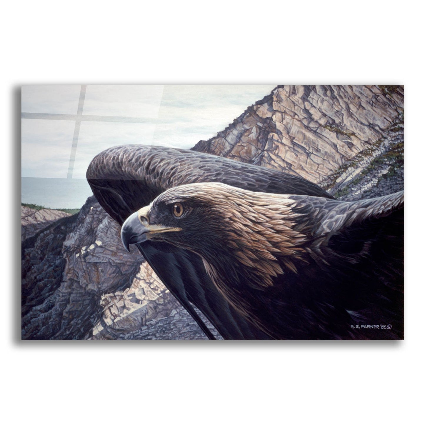 Epic Art 'Golden Eagle 2' by Ron Parker, Acrylic Glass Wall Art