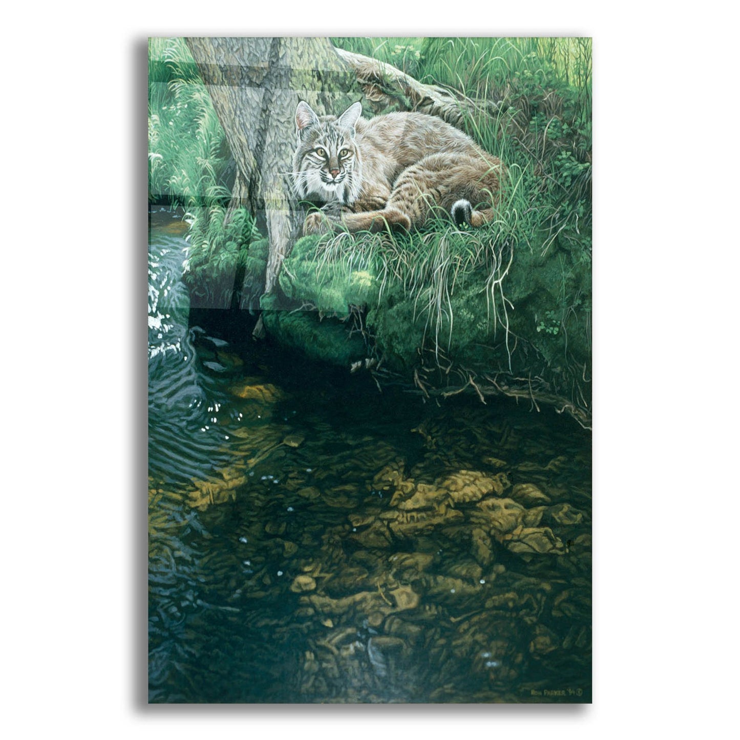 Epic Art 'Summer Stream Bank' by Ron Parker, Acrylic Glass Wall Art