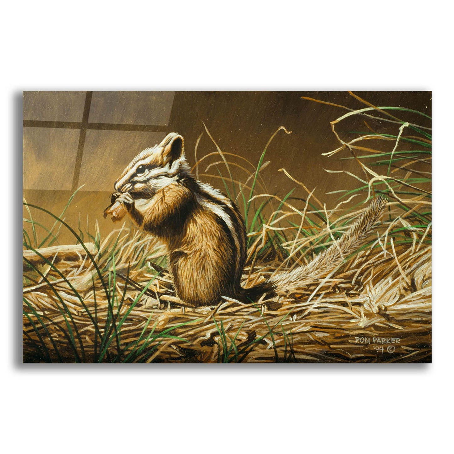 Epic Art 'Chipmunk' by Ron Parker, Acrylic Glass Wall Art