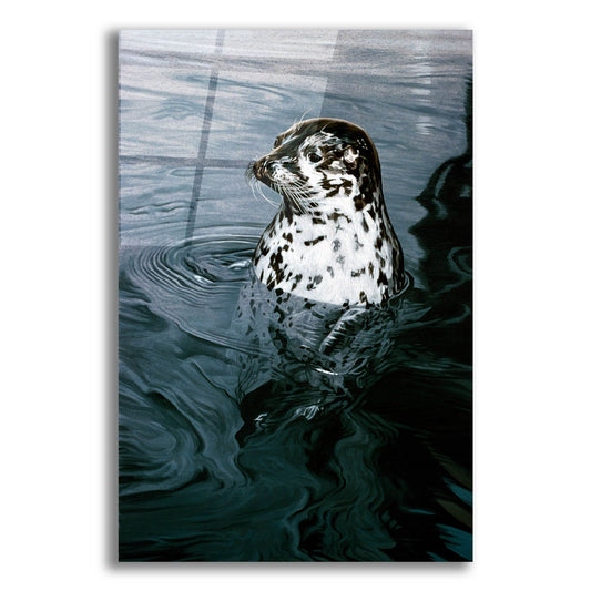 Epic Art 'Harbor Seal' by Ron Parker, Acrylic Glass Wall Art