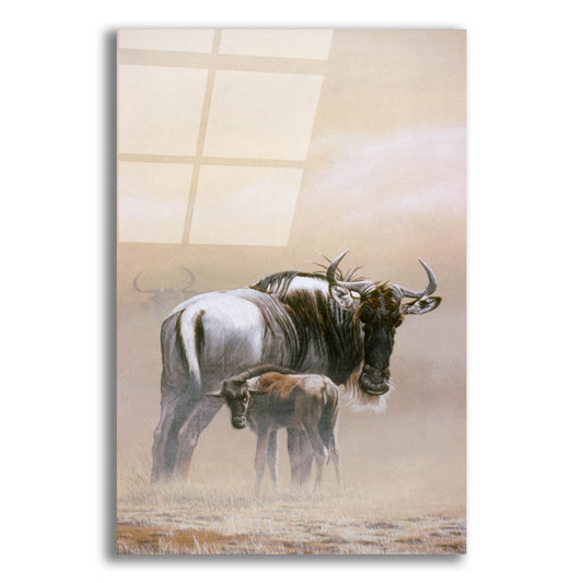Epic Art 'Wildebeest' by Ron Parker, Acrylic Glass Wall Art