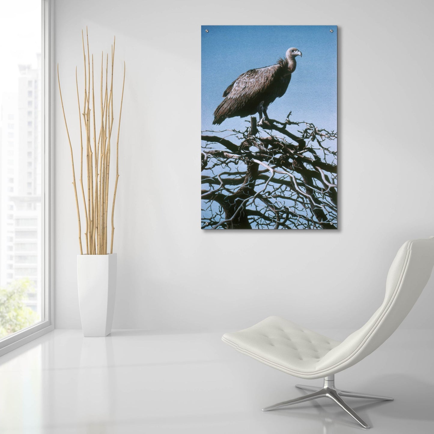 Epic Art 'Vulture' by Ron Parker, Acrylic Glass Wall Art,24x36