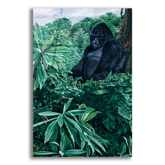 Epic Art 'Gorilla' by Ron Parker, Acrylic Glass Wall Art