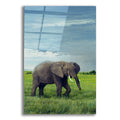 Epic Art 'Elephant' by Ron Parker, Acrylic Glass Wall Art
