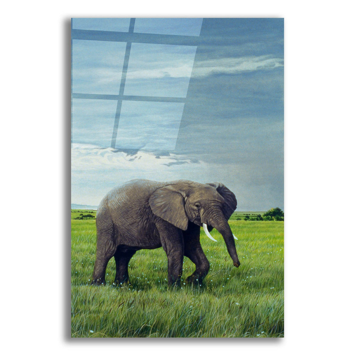 Epic Art 'Elephant' by Ron Parker, Acrylic Glass Wall Art