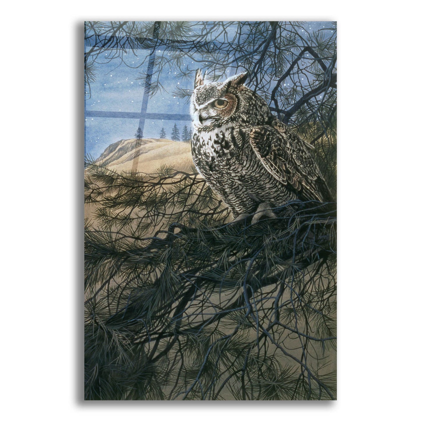 Epic Art 'Great Horned Owl 2' by Ron Parker, Acrylic Glass Wall Art