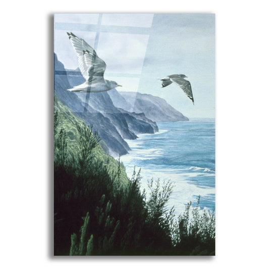 Epic Art 'Mew Gull' by Ron Parker, Acrylic Glass Wall Art