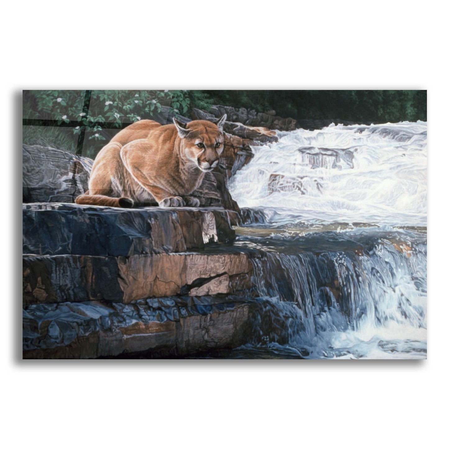 Epic Art 'Summer Creek' by Ron Parker, Acrylic Glass Wall Art