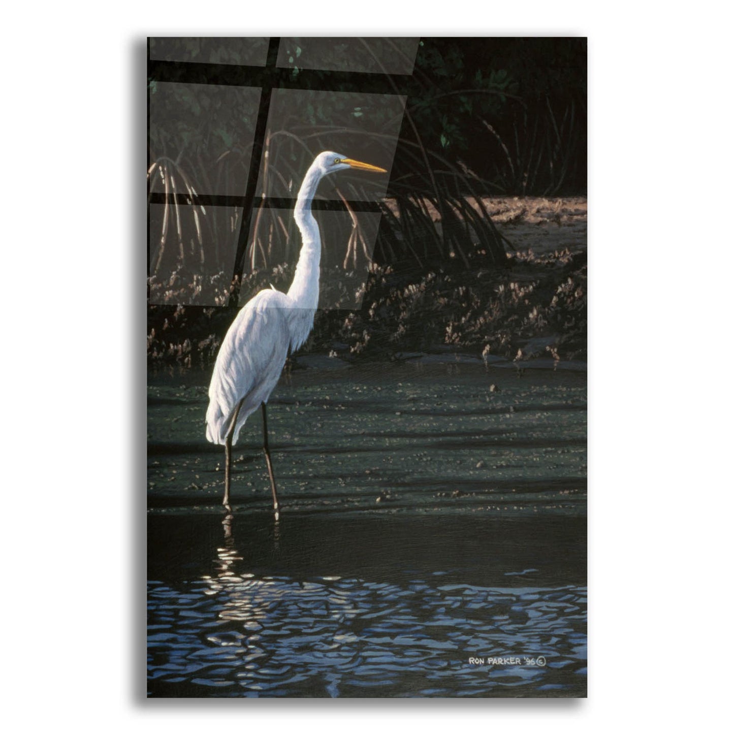 Epic Art 'Great Egret' by Ron Parker, Acrylic Glass Wall Art