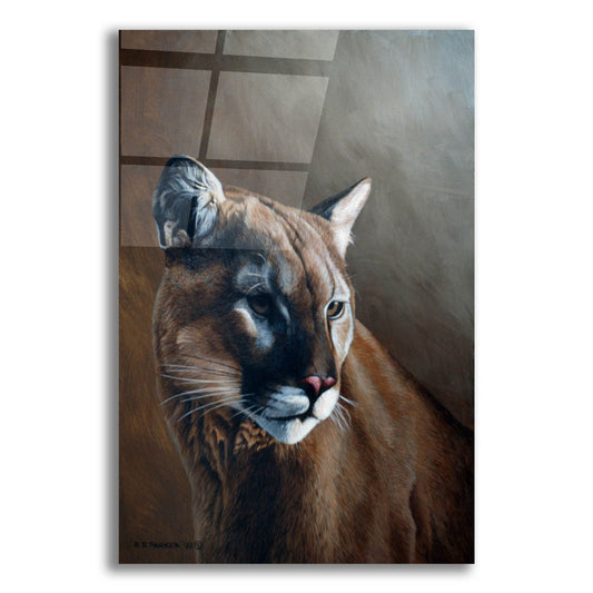 Epic Art 'Cougar' by Ron Parker, Acrylic Glass Wall Art