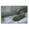 Epic Art 'Moose In The Brush' by Ron Parker, Acrylic Glass Wall Art