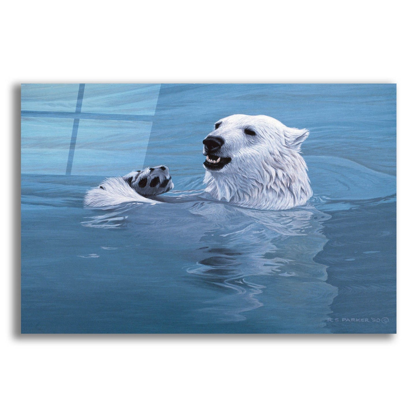 Epic Art 'Polar Bear' by Ron Parker, Acrylic Glass Wall Art