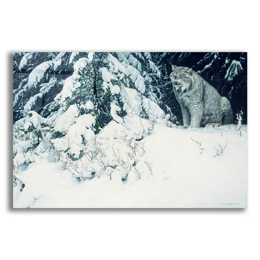 Epic Art 'Silent Forest-Lynx' by Ron Parker, Acrylic Glass Wall Art