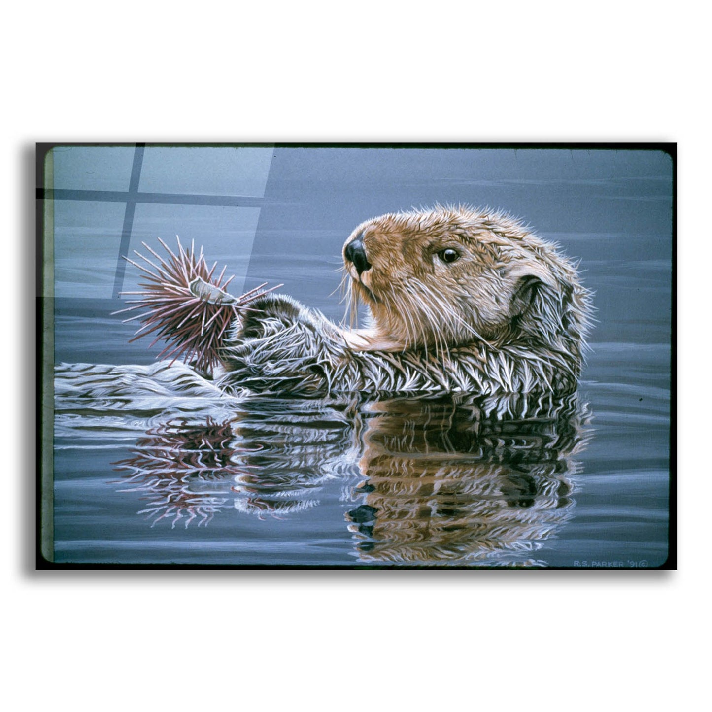 Epic Art 'Sea Otter With Urchin' by Ron Parker, Acrylic Glass Wall Art