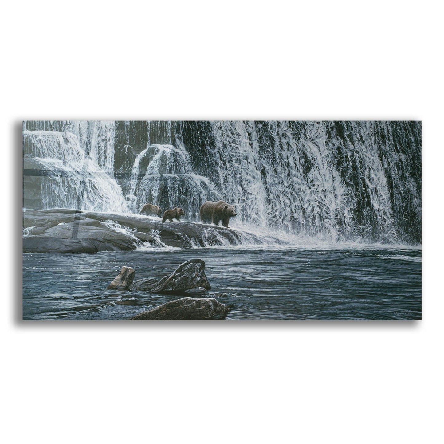 Epic Art 'Grizzlies and Falls' by Ron Parker, Acrylic Glass Wall Art