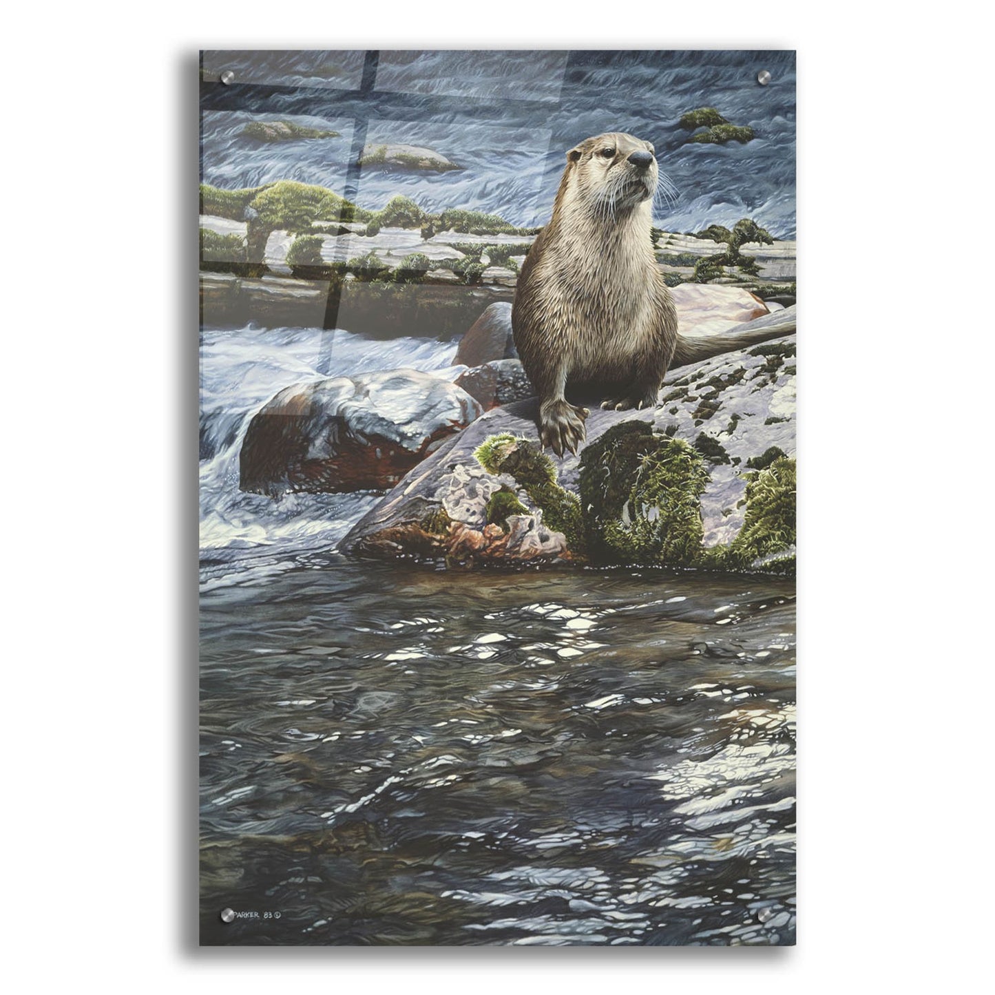 Epic Art 'Riverside Pause-River Otter' by Ron Parker, Acrylic Glass Wall Art