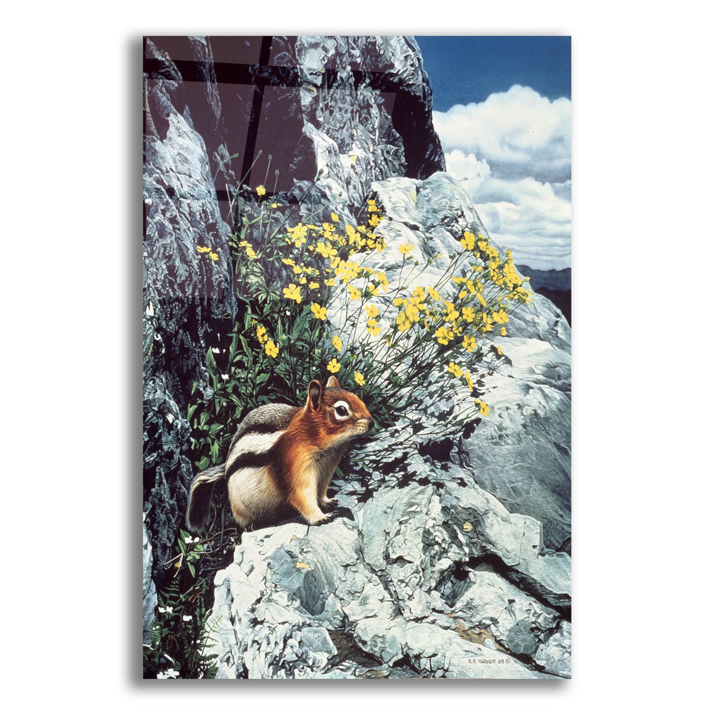 Epic Art 'Mountain Bloom-Ground Squirrel' by Ron Parker, Acrylic Glass Wall Art