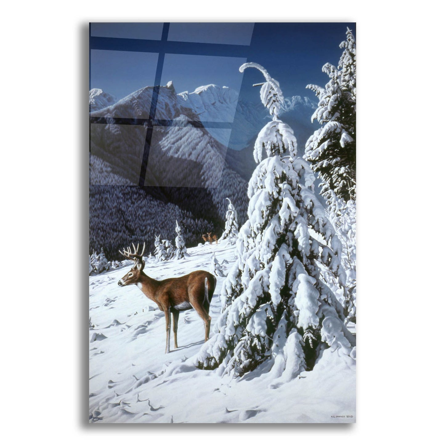 Epic Art 'October Snow' by Ron Parker, Acrylic Glass Wall Art