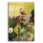 Epic Art 'Morning Glory' by Ron Parker, Acrylic Glass Wall Art