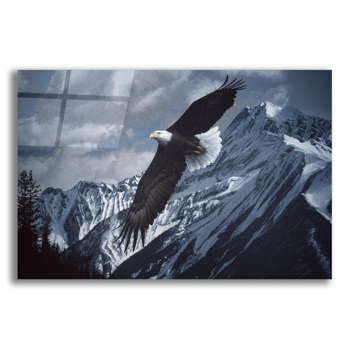 Epic Art 'Wings Over Winter' by Ron Parker, Acrylic Glass Wall Art